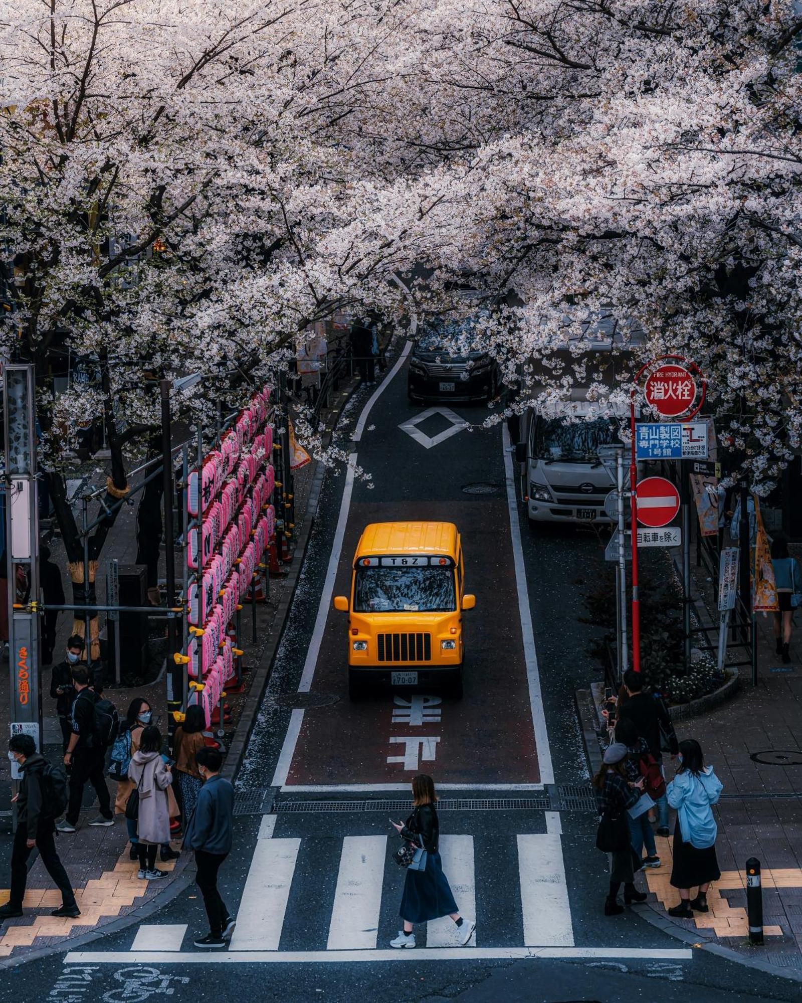 Illi Mani Shibuya Hotel Tokyo Exterior photo